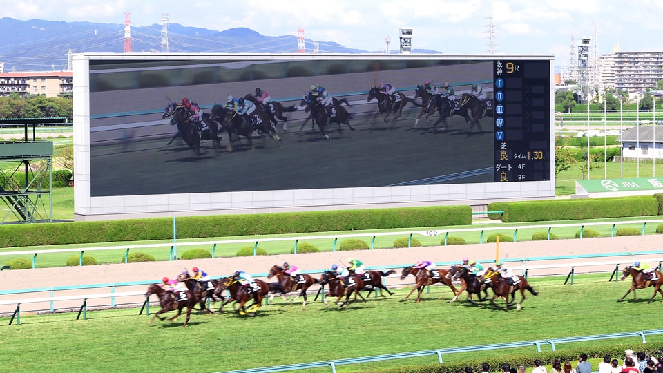 JRA 日本中央競馬会50年史 新・競馬百科 セット売り